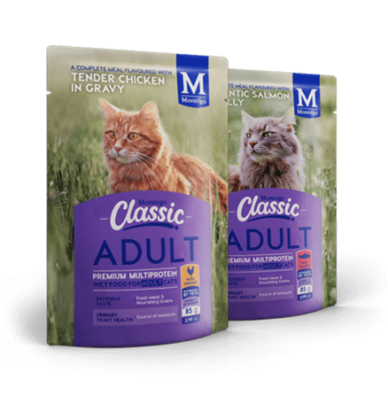 MONTEGO CLASSIC ADULT POUCH