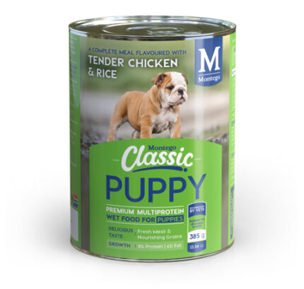 MONTEGO PUPPY