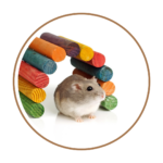 Small Accessories