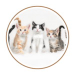 Small Animals Litter and bedding