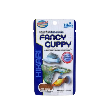 HIKARI FANCY GUPPY