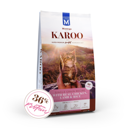 KAROO KITTEN