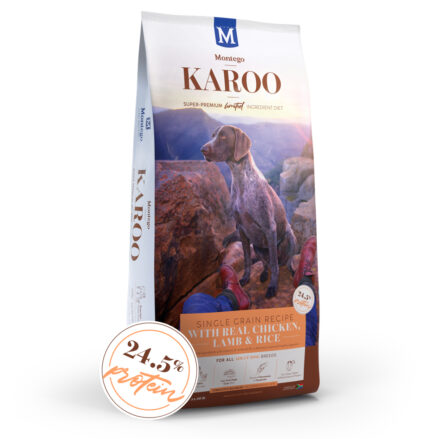 MONTEGO KAROO ADULT