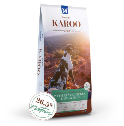 MONTEGO KAROO PUPPY L.B