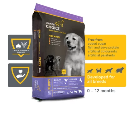 LIONEL'S CHOICE PUPPY