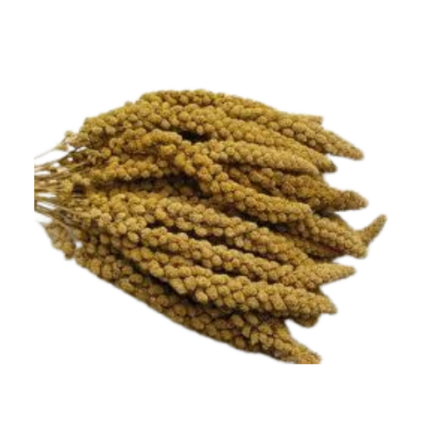 SPRAY MILLET YELLOW