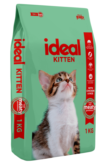 IDEAL KITTEN